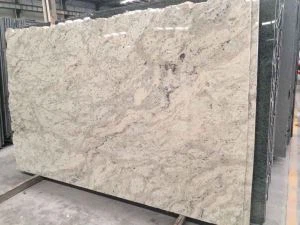 Bianco Romano Granite Slab
